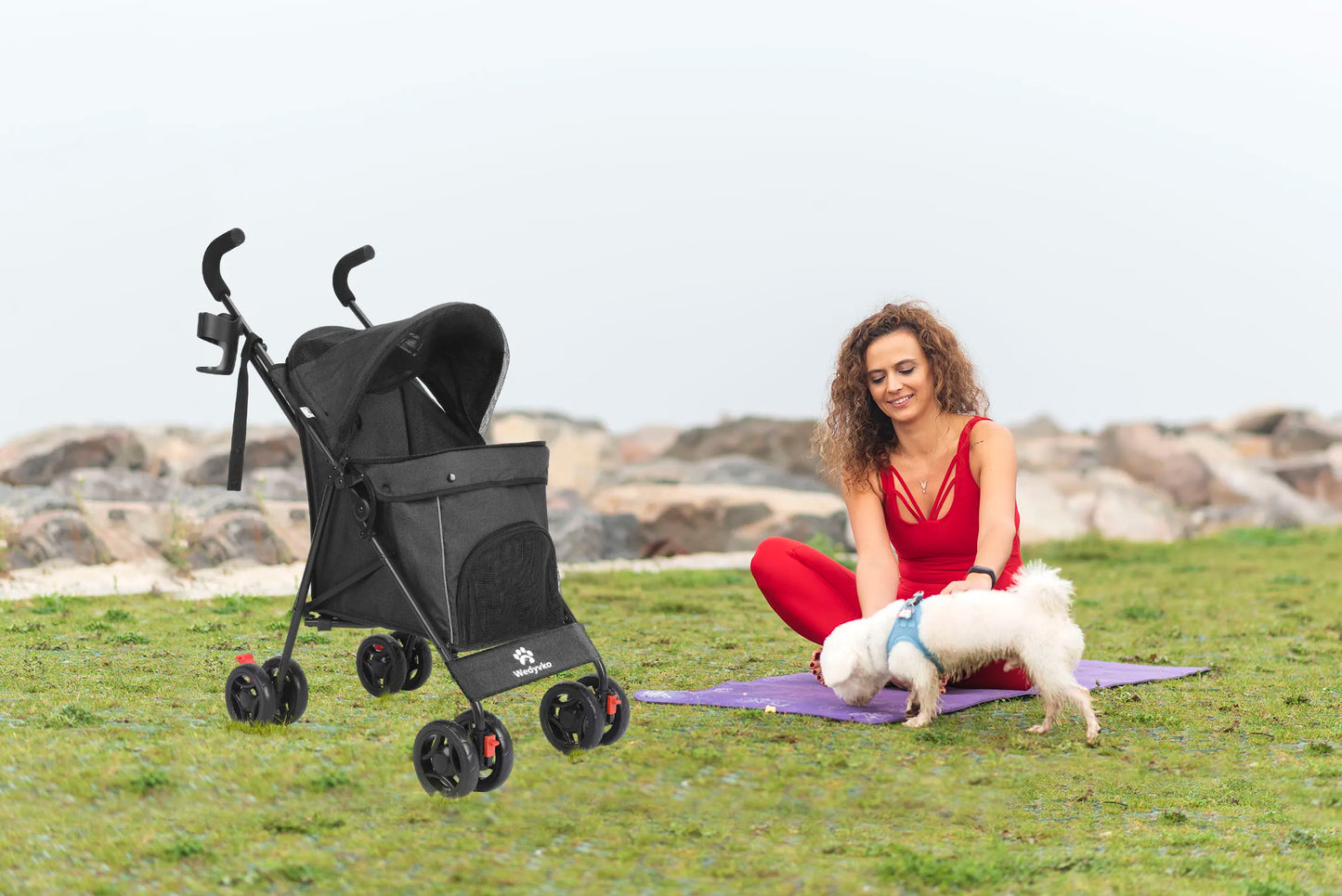 Pet Stroller - Foldable and Lightweight