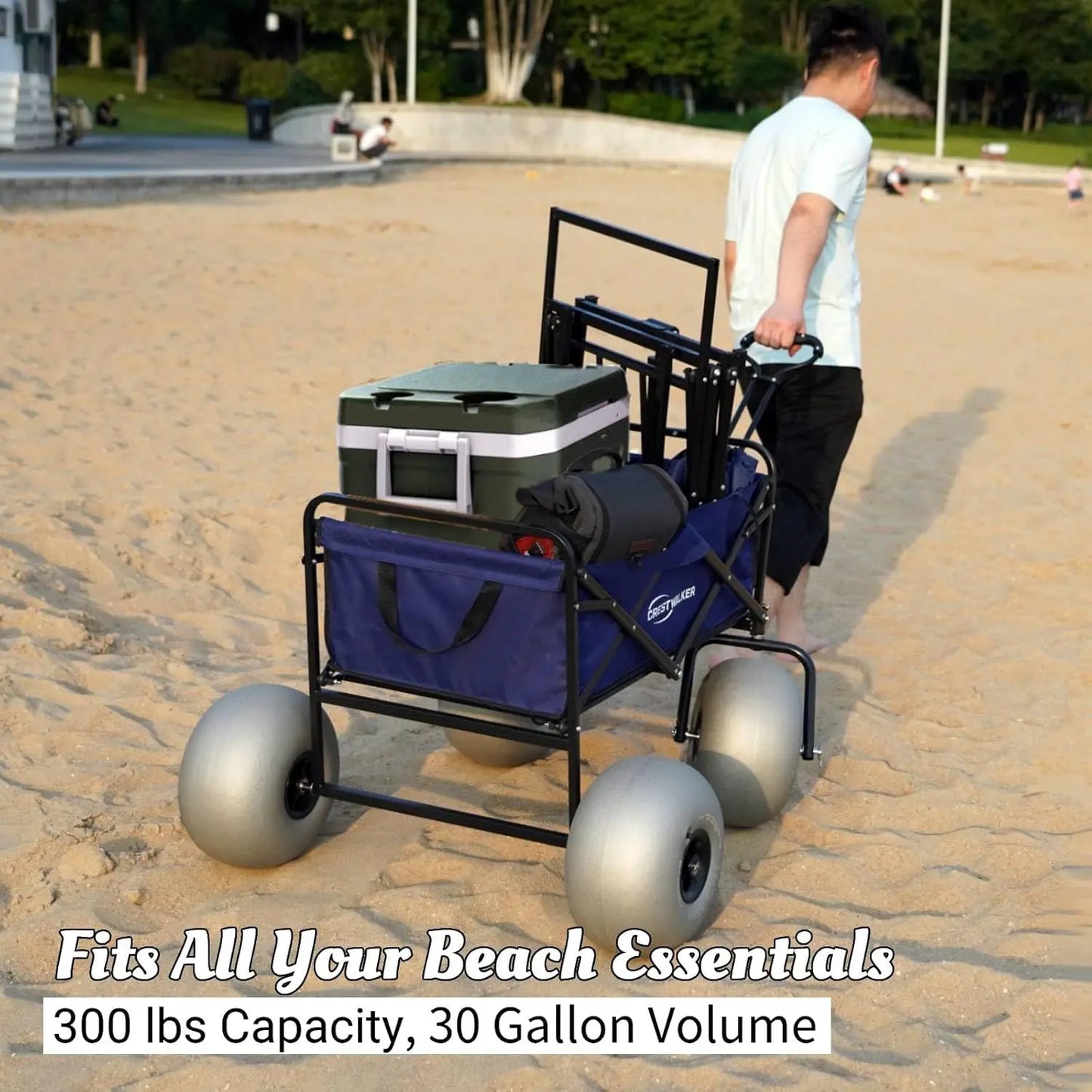 Beach Wagon with 13'' Balloon Wheels, Heavy Duty, All-Terrain, Collapsible Cart with Big Wheels for Sand, Pump Included